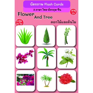 บัตรภาพ Flash Cards ดอกไม้กับต้นไม้