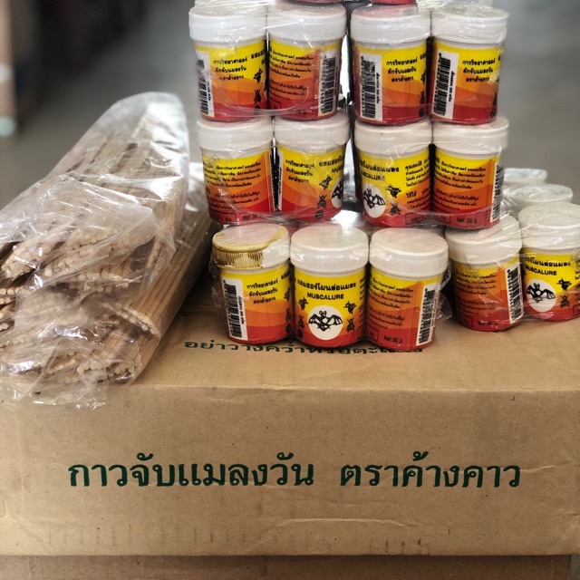 กาวจับแมลงวันค้างคาวแถมไม้-แพค-6ชิ้น-90บาท-พร้อมส่งทุกวัน-ราคาแสนถูก