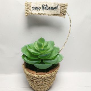 กระถางกระบองเพชร cactus ประดิษฐ์ เหมือนจริง คุณภาพดี ตกแต่งบ้าน อวยพรวันเกิด แสดงความยินดี วันเกษียณอายุ