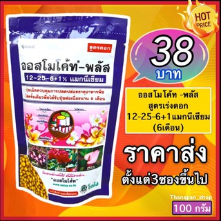 ภาพหน้าปกสินค้าออสโมโค้ทพลัส 12-25-6+1% แมกนีเซียม (ขนาด100กรัม) ที่เกี่ยวข้อง