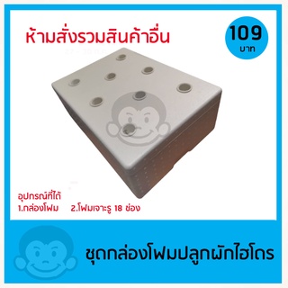 กล่องโฟมปลูกผักไฮโดรโปนิกส์ ผักไร้ดิน 6 ช่อง 9 ช่อง 12 ช่อง (ห้ามสั่งรวมสินค้าอื่น)