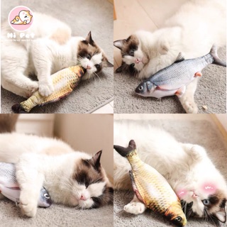 ภาพขนาดย่อของภาพหน้าปกสินค้าHi Pet Fish toys ตุ๊กตาปลาแคทนิป ของเล่นแมวและสุนัข 20CM จากร้าน hipethouse บน Shopee