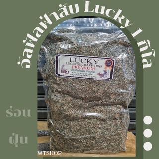 ภาพหน้าปกสินค้าหญ้าอัลฟัลฟ่าสับ Lucky อัลฟาฟ่าสับ อัลฟัลฟ่าสับร่อนฝุ่น 1กิโล (Lucky) ที่เกี่ยวข้อง