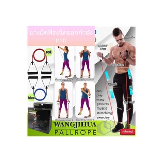 ยางยืดฟิตเนสออกกำลังกาย บริหารกล้ามเนื้อ ตัวยางยืดหยุ่นสตริง ออกแบบมาสำหรับการออกกำลังกายแบบแอโรบิค บริหารร่างกาย