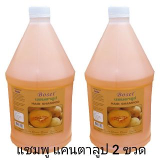 แชมพู กลิ่นแคนตาลูป ขนาด 3200 ml. (2 ขวด)