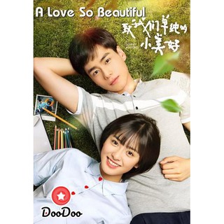 A Love So Beautiful รักนี้มีไว้เพื่อเธอ (23 ตอนจบ) [ซับไทย] DVD 3 แผ่น