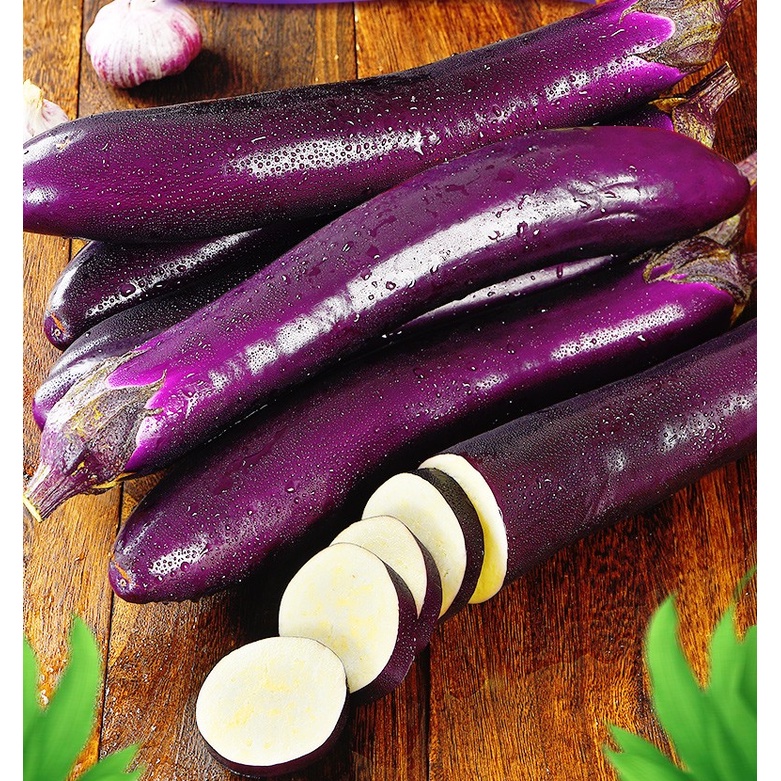 เมล็ดพันธุ์แท้100-มะเขือยาวม่วง-long-purple-eggplant-seeds-vegetable-plants-see-นี่มันเมล็ดพืช-ไม่ใช่พืช