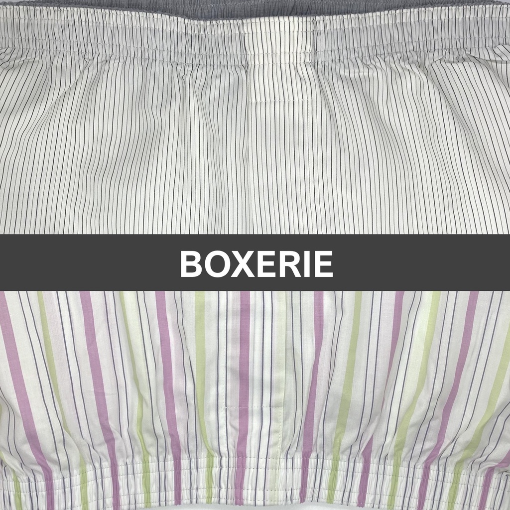 FZ Men's Trunk Boxers main image 1