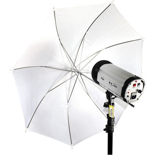 CAPA TRANSLUCENT UMBRELLA ร่มทะลุ สีขาว คุณภาพสูง