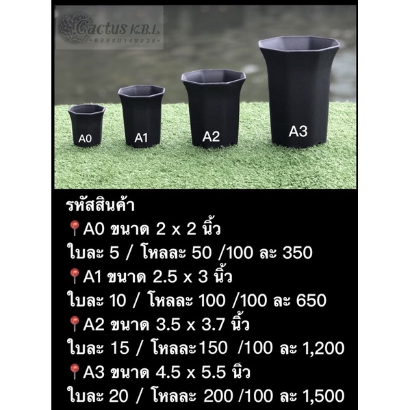 กระถางปากแตรแปดเหลี่นมญี่ปุ่น