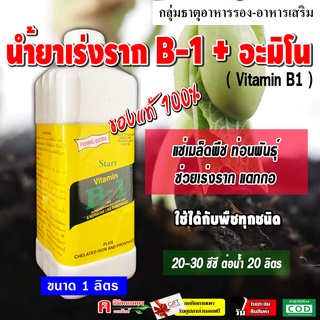 น้ำยาเร่งราก B1 🪴🌱 วิตามิน บี1 ( Vitamin B1 ) เหมาะสำหรับ แช่เมล็ด กิ่งตอน ปักชำ เร่งราก บำรุงราก เช่น มันสำปะหลัง