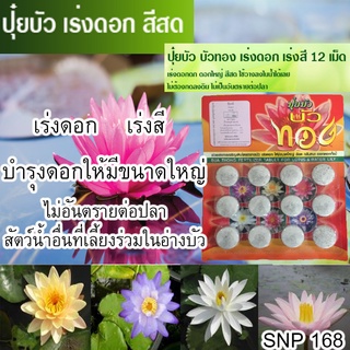 ปุ๋ยบัวทอง สูตร 9-23-20 ออกดอกดี แผงละ 12เม็ด