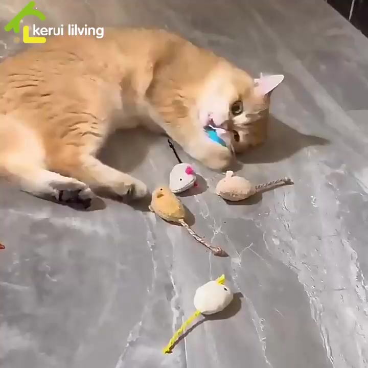 หนูปลอม-cat-toy-fake-mouse-ตุ๊กตาหนู-สำหรับแมว-ของเล่นแมว-หนูขนนิ่ม-หนูขัดฟัน-หนูถัก-ตุ๊กตาจำลองหนู-แมวชอบมาก-หนูล่อแมว