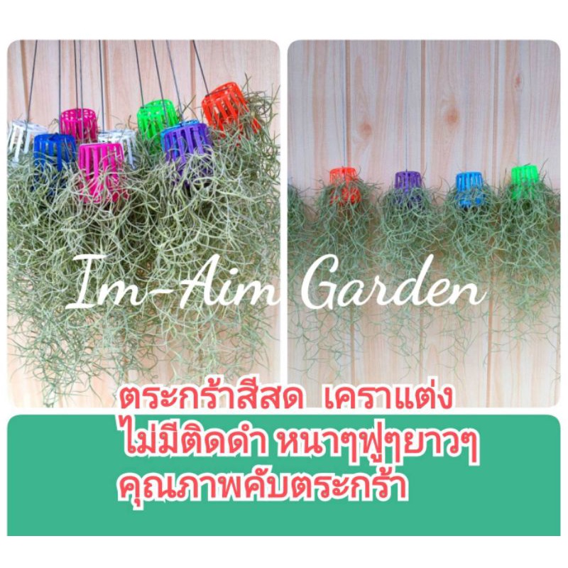 ภาพหน้าปกสินค้าตะกร้าสีแขวนเคราฤาษี สีสดใส จากร้าน arsars56 บน Shopee