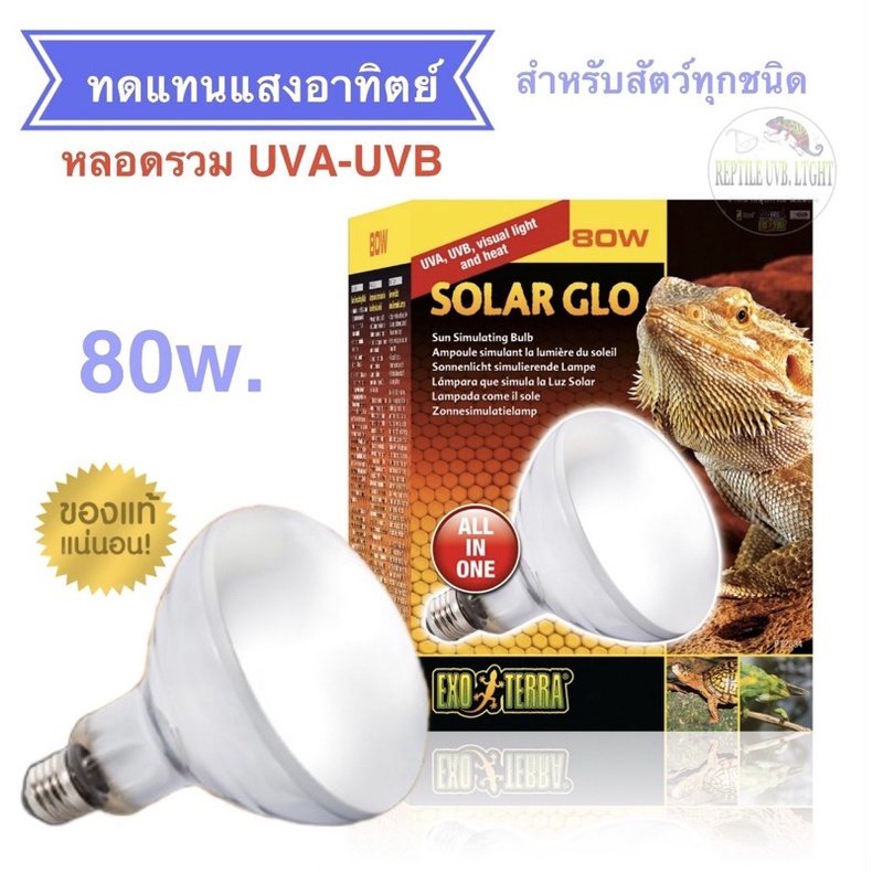 ExoReptiles Malaysia EXO TERRA SOLAR GLO The Exo Terra