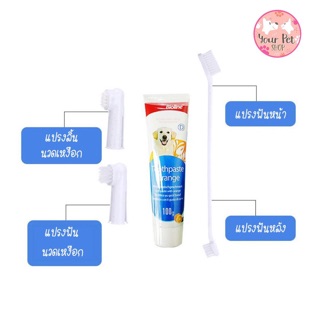 ภาพขนาดย่อของภาพหน้าปกสินค้าแปรงฟันสัตว์เลี้ยง Bioline แปรงฟันหมา แมว สุนัข พุดเดิ้ล ปอม ชิวาวา บีเกิ้ล คอร์กี้ ปั๊ก จากร้าน yourps บน Shopee