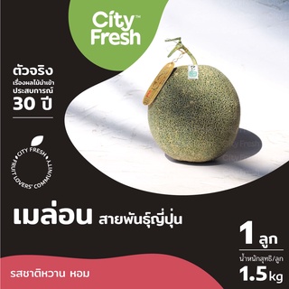 CityFresh เมล่อน Melon สายพันธุ์ญี่ปุ่น โดดเด่นด้วยรสชาติหวาน หอม