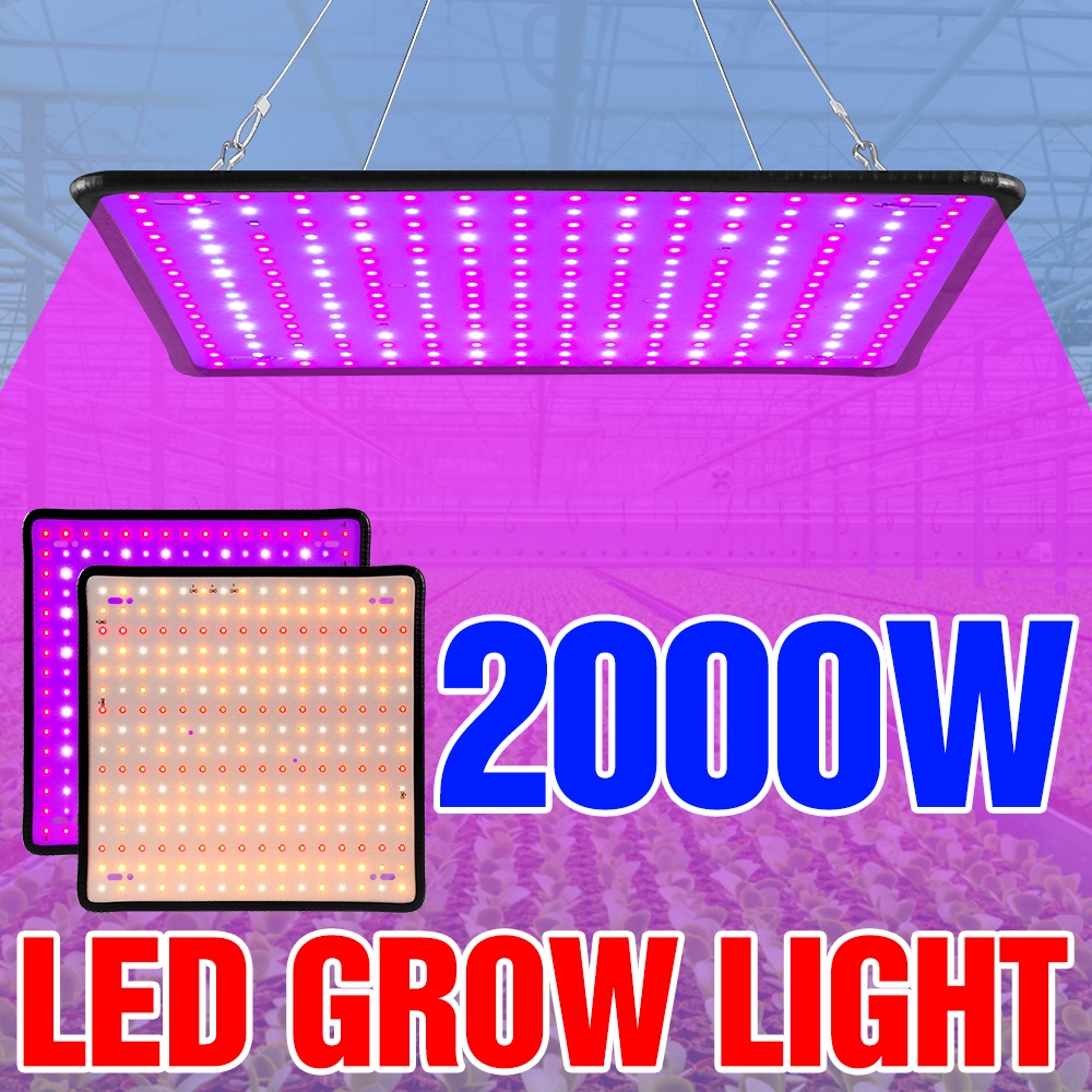 1000w Grow Light Led Full Spectrum โคมไฟ 1500W 2000W Led Plant หลอดไฟ ...