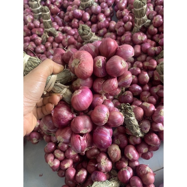 ใหม่ปีนี้หอมแดงศรีสะเกษมัดจุก-ไซส์รวมได้3กิโล
