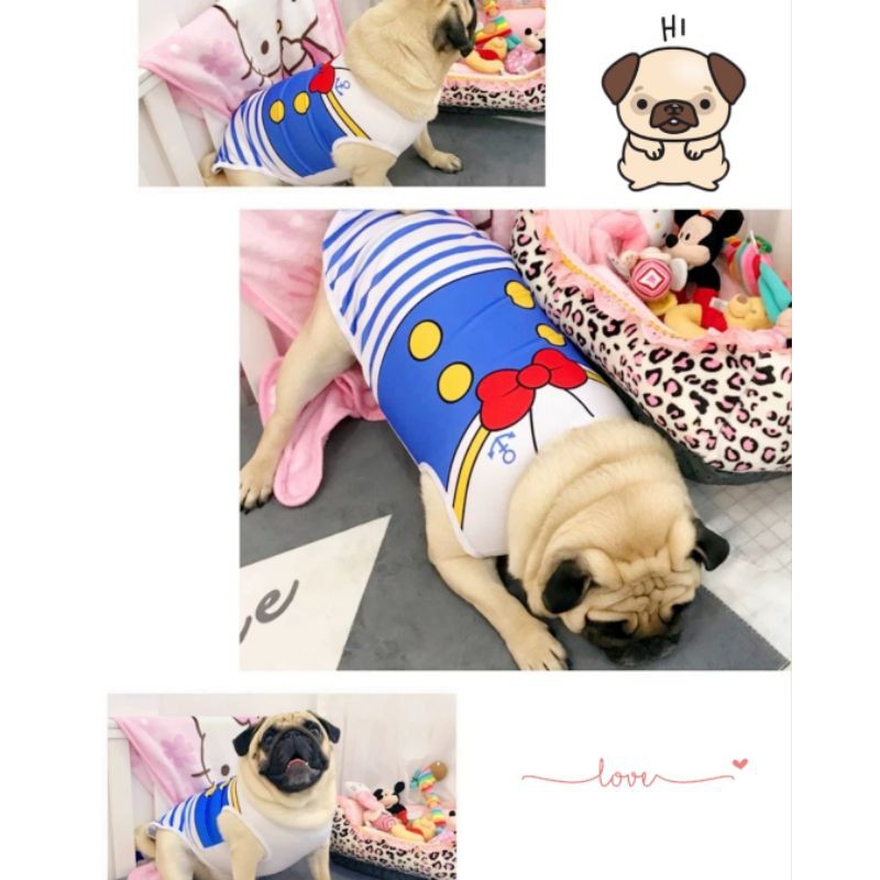 ภาพสินค้าร้านไทย ️ เสื้อหมา เสื้อแมว เสื้อผ้าสัตว์เลี้ยง (มีไซส์ 1-6) ลายน่ารักสีสด จากร้าน boozepetshop บน Shopee ภาพที่ 8