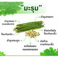 กิฟฟารีน-มะรุม-ซี-ชนิดแคปซูล-ลดเบาหวาน-ความดัน-ไขมัน-giffarine-marum-c