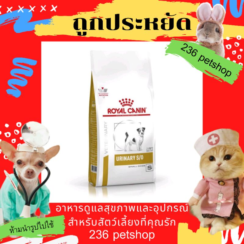 royal-canin-urinary-s-o-small-dog-1-5-kg-อาหารสำหรับสุนัขพันธุ์เล็กโรคนิ่ว