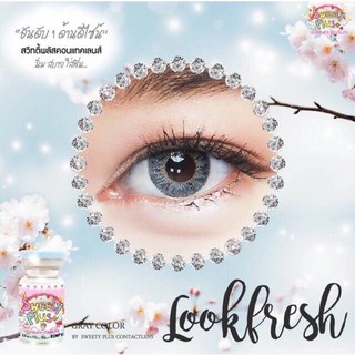 Look Fresh Gray มินิ สีเทา ทรีโทน เทา เทาอมฟ้า 🦋 Sweety+  Contact Lens Bigeyes คอนแทคเลนส์ แฟชั่น สายตาปกติ Lookfresh