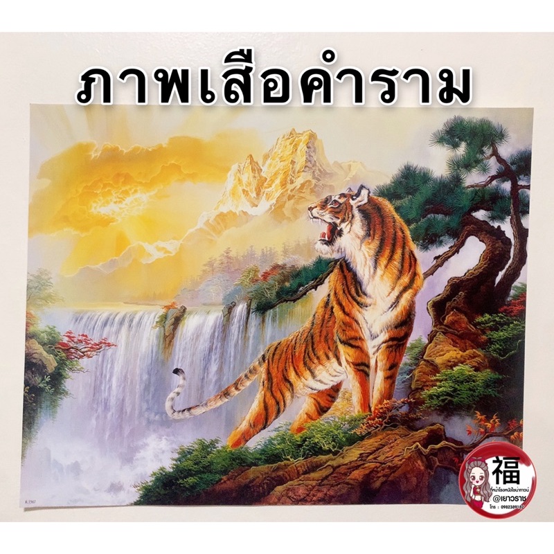 รูปภาพมงคล-เสือเหลียวหลัง-น้ำตก-ขนาดภาพ-16x20นิ้ว-40-6x50-8-ซม-แก้เคล็ด-เสริมฮวงจุ้ย-สิริมงคล-เสริมดวง