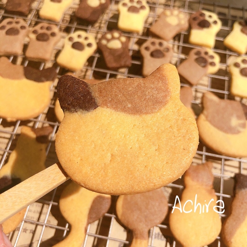 achira-calico-cat-butter-cookies-คุ้กกี้แมวสามสี