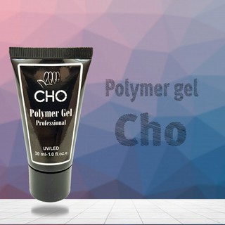 โพลิเมอร์เจล Poly gel CHO 30ml.