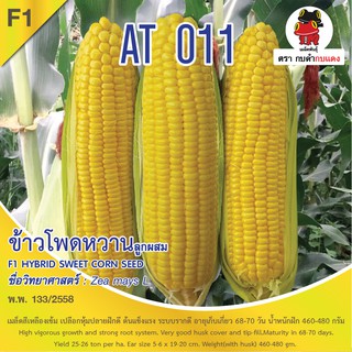 เมล็ดพันธุ์ ข้าวโพด AT011 บรรจุ 10 กรัม