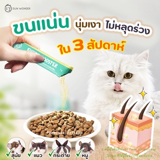 ภาพหน้าปกสินค้าFurry Booster by Sun Wonder - Premium Pet Coat Supplement อาหารเสริมบำรุงขน สำหรับ สุนัข แมว หนู กระต่าย ขนสวย ขนเงา ที่เกี่ยวข้อง