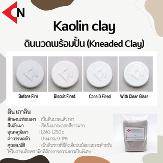 Kaolin Clay NO.338A (Kneaded) ดินเกาลีน 1 กิโลกรัม