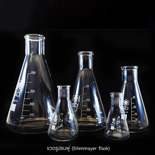 ขวดรูปชมพู่ (Erlenmeyer Flask) 100/250/500 ml