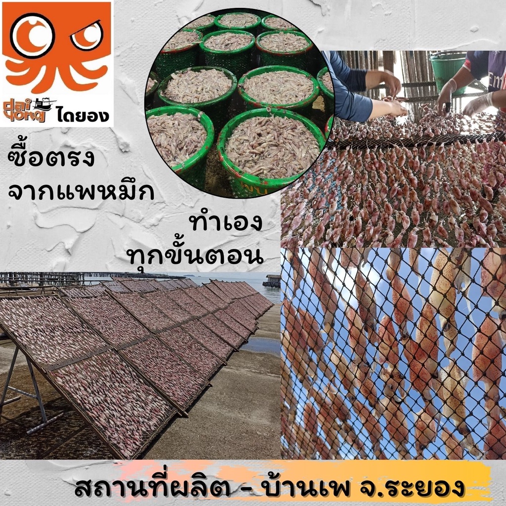 หมึกเจาะตาแห้ง-500-กรัม-หมึกเรือได-ทำใหม่-ไม่เหม็น-สะอาด-คัดเป็นตัว-ของตรงปก-ไม่จกตา