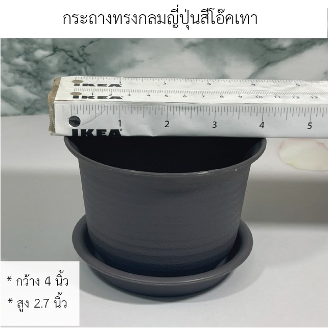 กระถางทรงกลมญี่ปุ่นขนาด-พร้อมจานรอง-พร้อมส่งทุกรูปแบบ-กระถางใส่-cactus