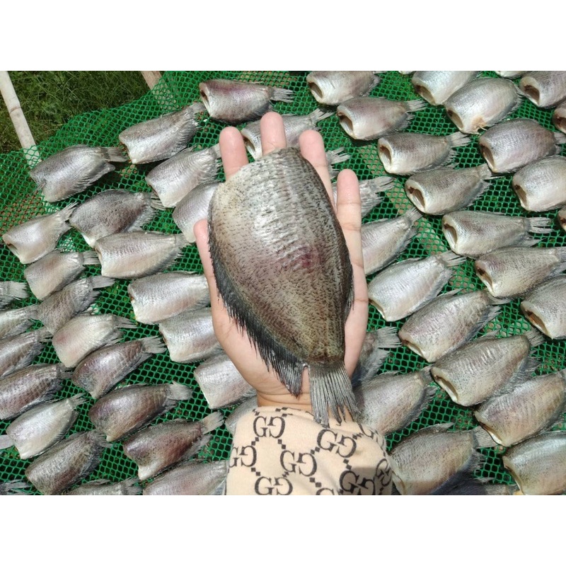 ภาพหน้าปกสินค้าปลาสลิดเเดดเดียวไซส์ใหญ่ ราคาถูก 500g/1000g จากร้าน chaiyakon.shop บน Shopee