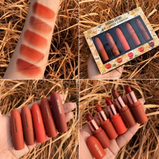 (Set B) New! 5 x LIPSTICK COLLECTION HF 398 💄💄