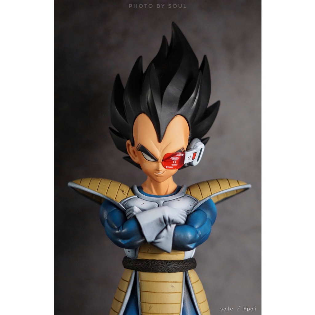 โมเดลฟิกเกอร์-dragon-ball-decided-to-earth-destiny-2-guard-the-earth-warrior-vegeta-แฮนด์เมด