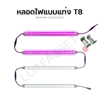 💥พร้อมส่ง💥ไฟปลูกต้นไม้ T8 full spectrum ขนาด60 และ120ซม. T8 Grow light ไฟปลูกพืช