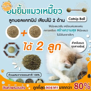 ภาพหน้าปกสินค้าถูกที่สุด ลูกบอลแคทนิป แคทนิป สมุนไพรแคทนิป อาหารเสริมแมว ขนมแมว เสียบไม้ บอล อมยิ้ม Catnip Ball 🐱 พร้อมส่งจากไทย ✅ ที่เกี่ยวข้อง