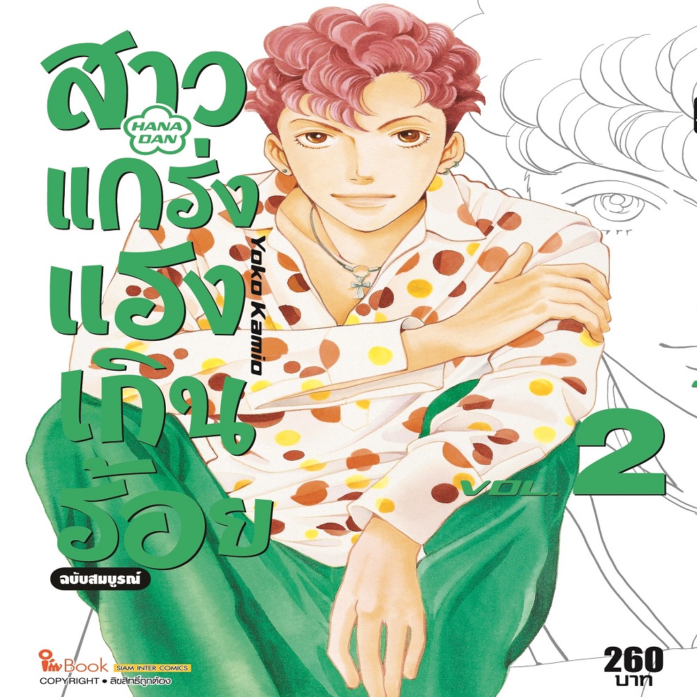 หนังสือ-สาวแกร่งแรงเกินร้อย-ฉบับสมบูรณ์-เล่ม-2-mg