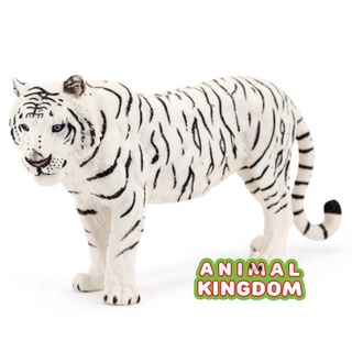 Animal Kingdom - โมเดลสัตว์ เสือโคร่ง เผือก ขนาด 23.50 CM (จากหาดใหญ่)