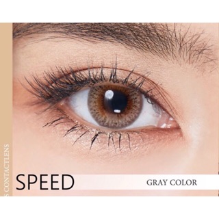 🔥 คอนแทคเลนส์ ✨ขนาดบิ๊กอาย ✨Gray✨ Speed