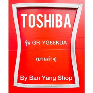 ขอบยางตู้เย็น TOSHIBA รุ่น GR-YG66KDA (บานล่าง)