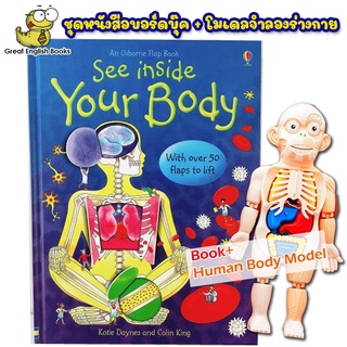 พร้อมส่ง บอร์ดบุ๊คเล่มใหญ่ Usborne see inside your body  หนังสือเด็กเล็ก เปิดปิดได้ พร้อมโมเดล ร่างกายมนุษย์