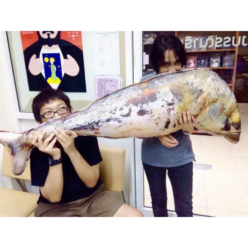 หมอนปลาทู-ไซส์จัมโบ้-ใหญ่จุใจแพคคู่-1-50-เมตร