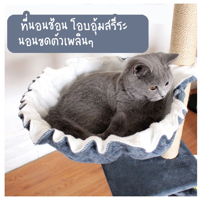 พร้อมส่งจากไทย-cat-tower-คอนโดแมวขนาดกลางครบทุกการใช้งาน