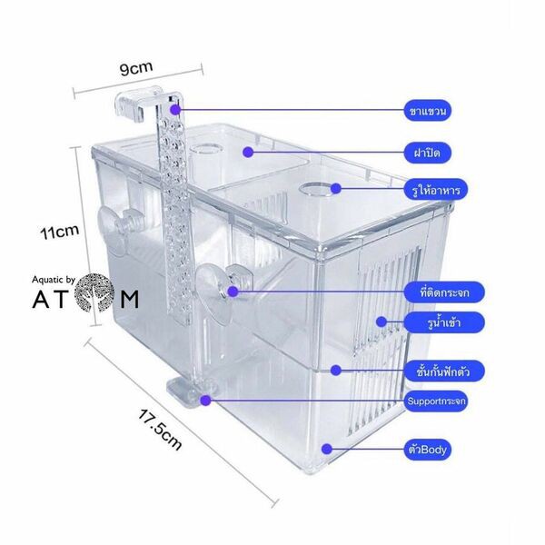 พร้อมส่ง-กล่องแยกปลา-ใช้แยกปลา-กุ้ง-ลูกปลา-ปลาป่วยในตู้ปลา-hatching-isolation-box