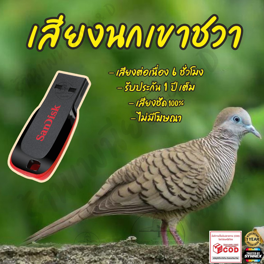 เสียงนกเขาชวา-ยาว6ชั่วโมง-ไม่มีโฆษณา-แฟลชไดร์ฟ-flash-drive-มีเก็บเงินปลายทาง